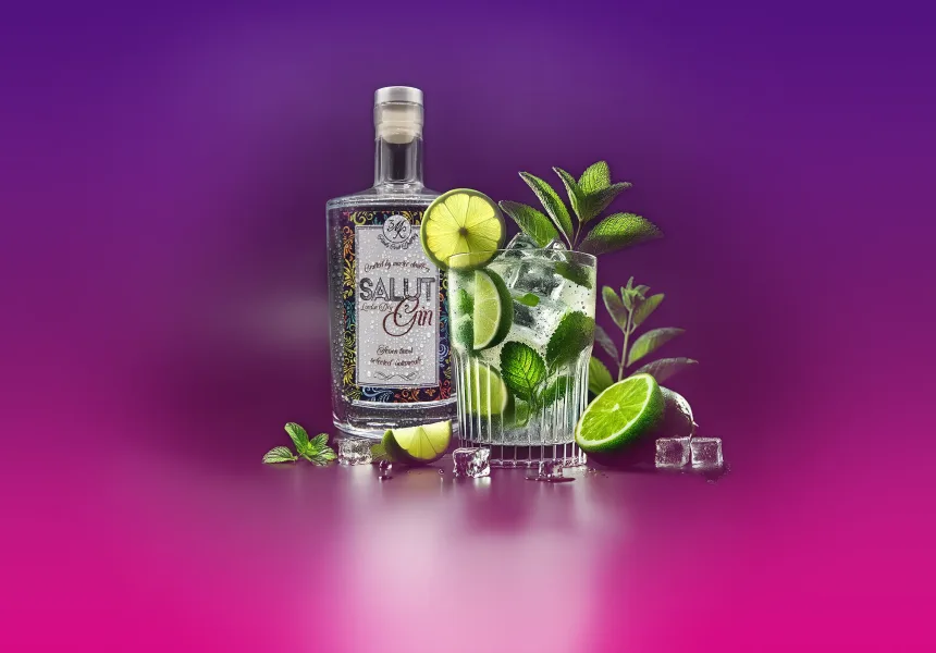 Frukta des Salut Gin Mojito